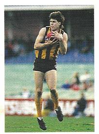 1991 Select AFL Stickers #143 Darrin Pritchard Front